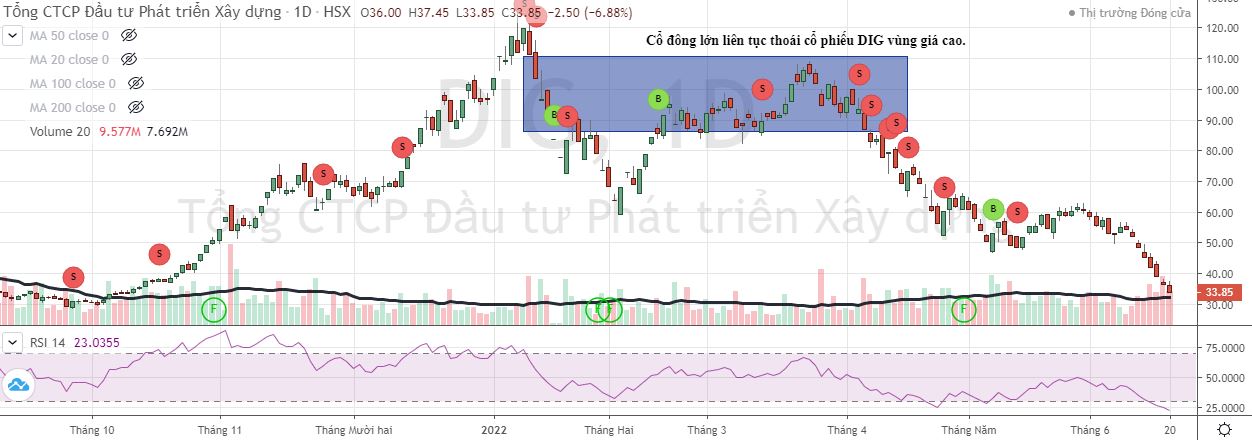 Cổ phiếu DIG giảm mạnh sau khi hàng loạt cổ đông lớn thoái vốn vùng giá cao (Nguồn: Fireant).