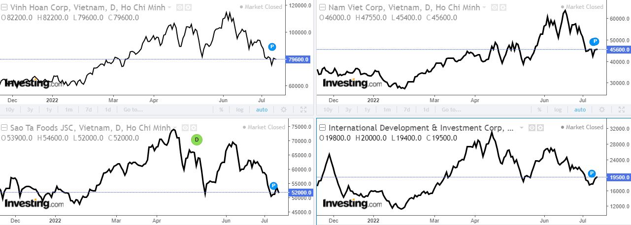 Nhóm cổ phiếu thủy sản có dấu hiệu thoái trào từ tháng 4-5/2022 (Nguồn: Investing).