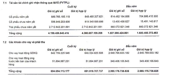 VIX tăng đầu tư vào cổ phiếu và trái phiếu chưa niêm yết trong 6 tháng đầu năm 2022 (Nguồn: BCTC).