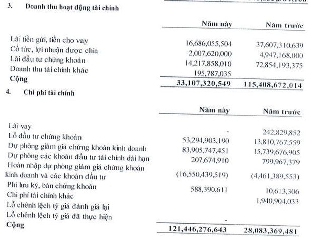 NDN ghi nhận lỗ hoạt động đầu tư chứng khoán trong 6 tháng đầu năm (Nguồn: BCTC).