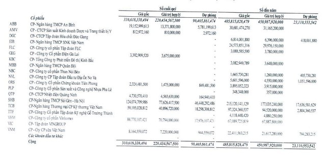 Danh mục đầu tư chứng khoán của NDN tính tới 30/6/2022 (Nguồn: BCTC).