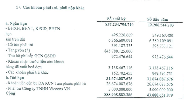 Cơ cấu các khoản phải thu, phải nộp khác của TIP tính tới 30/6/2022 (Nguồn: BCTC).