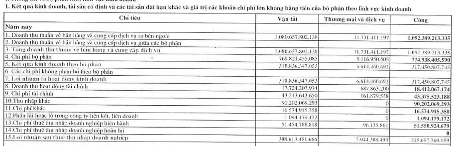 Cơ cấu doanh thu và lợi nhuận của VOS theo lĩnh vực trong 6 tháng đầu năm (Nguồn: BCTC).