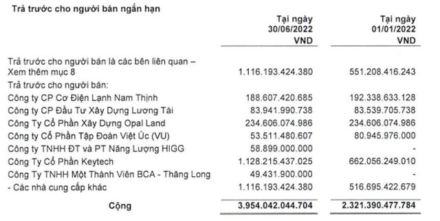 Cơ cấu trả trước cho người bán ngắn hạn tới 30/6/2022 (Nguồn: BCTC).