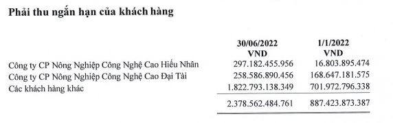 Cơ cấu phải thu ngắn hạn của khách hàng tới 30/6/2022 (Nguồn: BCTC).