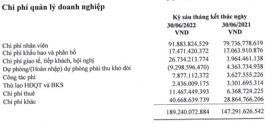 Cơ cấu chi phí quản lý doanh nghiệp trong 6 tháng đầu năm (Nguồn: BCTC).