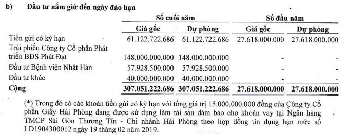 Cơ cấu đầu tư tài chính ngắn hạn của HAP tới 30/6/2022 (Nguồn: BCTC).