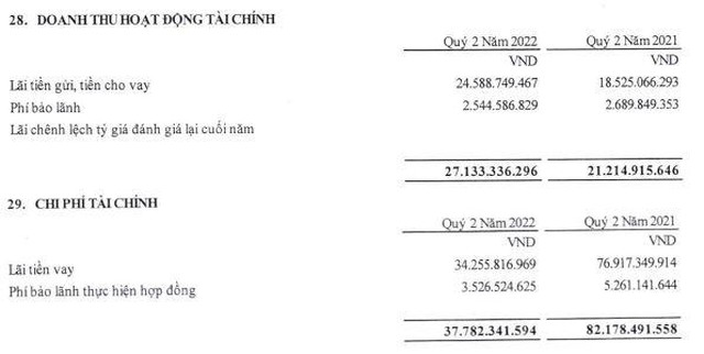 Cơ cấu doanh thu và chi phí tài chính trong quý II/2022 (Nguồn: BCTC).