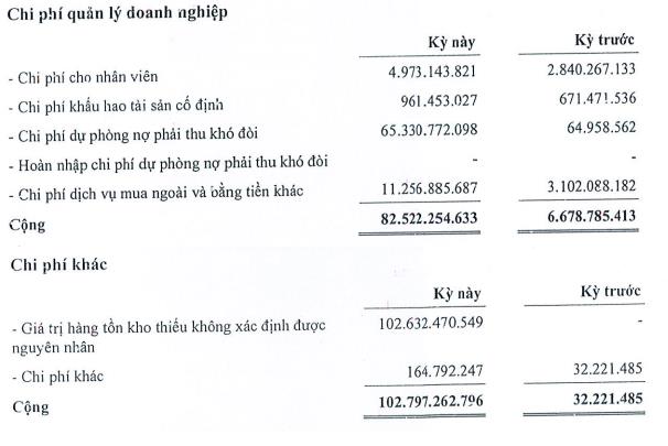 VKC biến động mạnh chi phí quản lý doanh nghiệp và chi phí khác (Nguồn: BCTC).