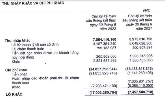 Cơ cấu doanh thu và lợi nhuận khác của Hòa Bình trong 6 tháng đầu năm 2022 (Nguồn: BCTC).