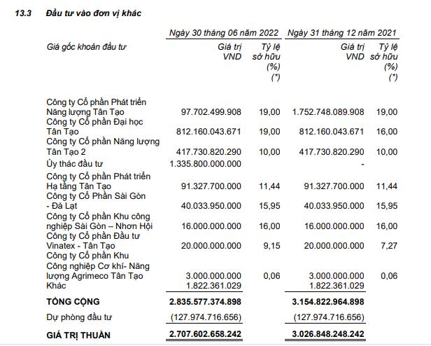 Ủy thác đầu tư của Tân Tạo tới 30/6/2022 (Nguồn: Báo cáo tài chính quý II/2022 tự lập).