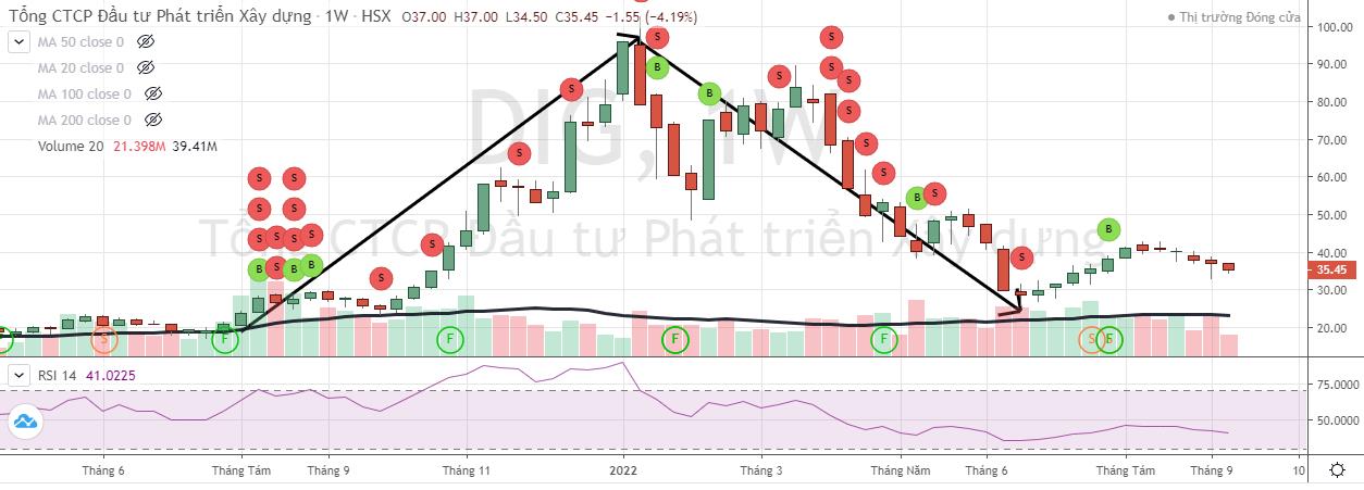 Diễn biến lên mạnh sau đó lao dốc của cổ phiếu DIG (Nguồn: FireAnt).