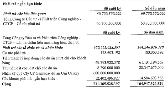 TDC nhận 600 tỷ đặt cọc của Gamuda Land trong 6 tháng đầu năm 2022 (Nguồn: BCTC).