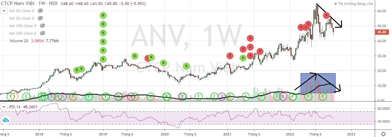 Cổ phiếu ANV có dấu hiệu hình thành mô hình hai đỉnh, đỉnh sau thấp hơn đỉnh trước (Nguồn: FireAnt).