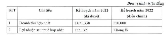 Louis Capital điều chỉnh giảm kế hoạch năm 2022 (Nguồn: TGG).