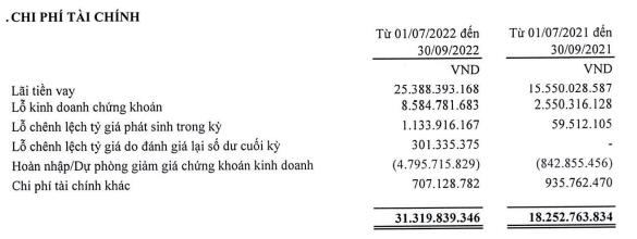 Cơ cấu chi phí tài chính trong quý III (Nguồn: BCTC).