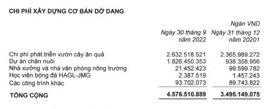 HAG thực hiện vốn hóa chi phí phát triển vườn cây ăn quả (Nguồn: BCTC).