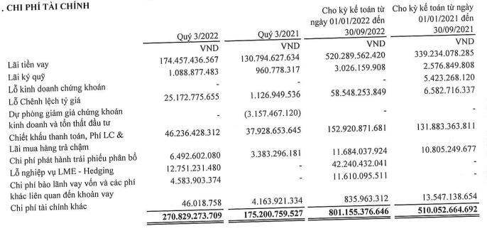 Cơ cấu chi phí tài chính của GEE trong quý III và 9 tháng đầu năm 2022 (Nguồn: BCTC).