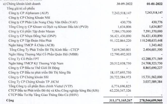 HPG trở thành khoản đầu tư chứng khoán lớn nhất của SAM Holdings (Nguồn: BCTC).