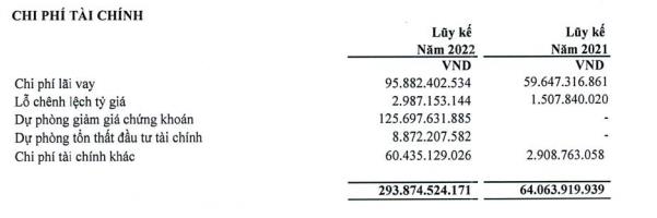 Chi phí tài chính tăng đột biến trong 9 tháng đầu năm 2022 (Nguồn: BCTC).