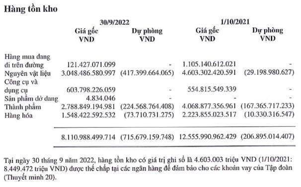 Hoa Sen đẩy mạnh trích lập dự phòng giảm giá tồn kho trong niên độ tài chính 2021-2022 (Nguồn: BCTC).