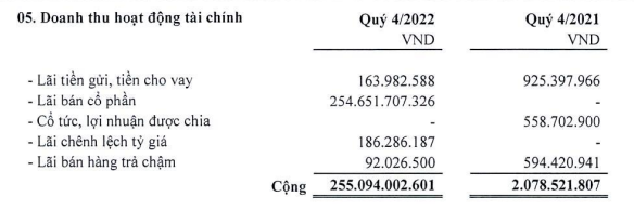 Cơ cấu doanh thu tài chính của Hodeco trong quý IV/2022 (Nguồn: BCTC).