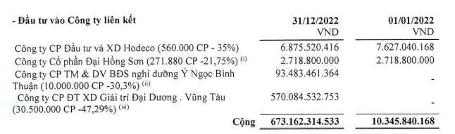 CTCP Đầu tư Xây dựng Giải trí Đại Dương Vũng Tàu được hạch toán Công ty liên kết từ quý IV/2022 (Nguồn: BCTC).