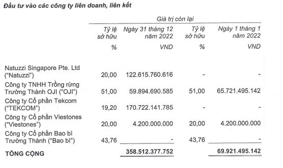 Gỗ Trường Thành đầu tư thêm 2 Công ty trong năm 2022 (Nguồn: BCTC).