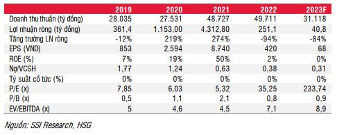 SSI Research hạ dự báo Hoa Sen từ trung lập sang kém khả quan