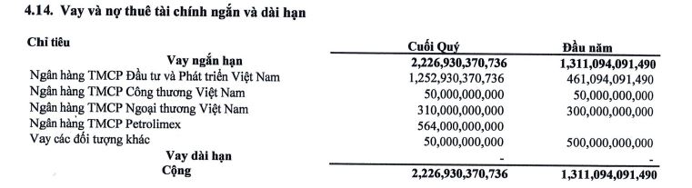 Cơ cấu nợ vay của Chứng khoán DSC tại thời điểm 30/6/2023 (Nguồn: BCTC)