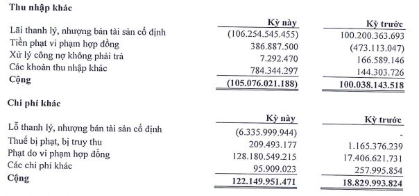 Cơ cấu thu nhập và chi phí khác của TDC trong nửa đầu năm 2023 (Nguồn: TDC)