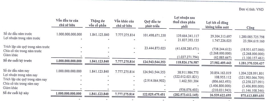 TDC xóa toàn bộ lợi nhuận lũy kế kiếm được nhiều năm sau khi lỗ bán niên năm 2023 (Nguồn: TDC)