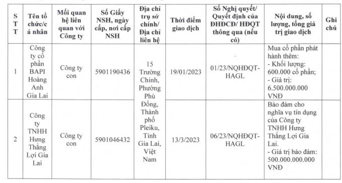 Hoàng Anh Gia Lai bảo lãnh cho Hưng Thắng Lợi gia Lai vay vốn ngân hàng trong nửa đầu năm 2023 (Nguồn: HAG)