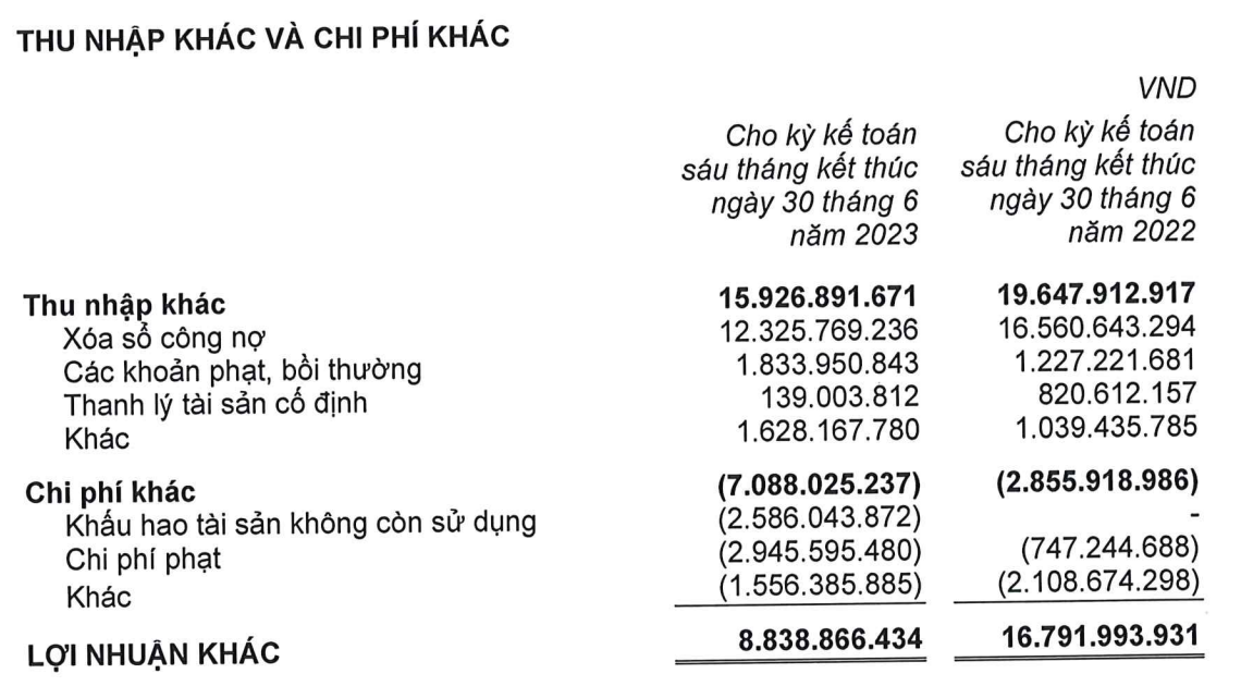 Cơ cấu thu nhập khác và chi phí khác của Gỗ Trường Thành trong nửa đầu năm 2023 (Nguồn: BCTC)