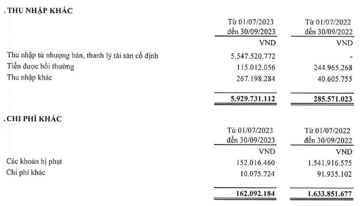 Cơ cấu thu nhập khác và chi phí khác của Thép Tiến Lên trong quý IV/2023 (Nguồn: BCTC)