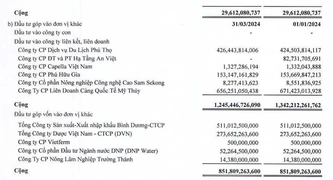 Danh mục đầu tư tài chính dài hạn của SAM Holdings tại thời điểm 31/3/2024 (Nguồn: SAM Holdings)