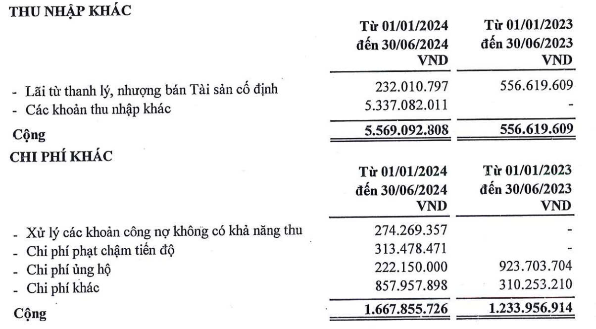 Tiên Sơn Thanh Hóa ghi nhận thu nhập khác đột biến trong nửa đầu năm 2024 (Nguồn: Tiên Sơn Thanh Hóa)