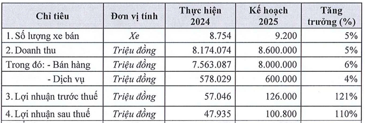 Kế hoạch kinh doanh năm 2025 của City Auto.