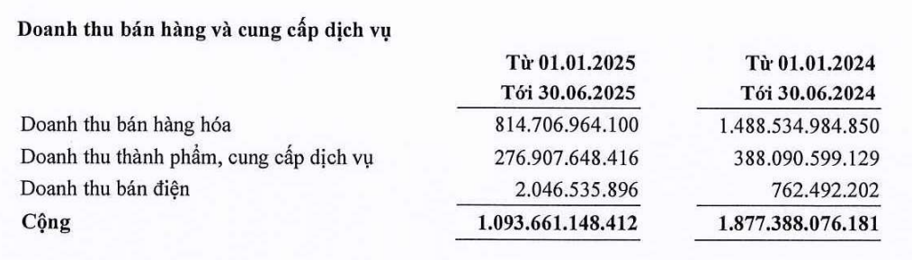 Doanh thu theo lĩnh vực của Siba Group giảm mạnh trong nửa đầu năm 2025. Nguồn: BCTC