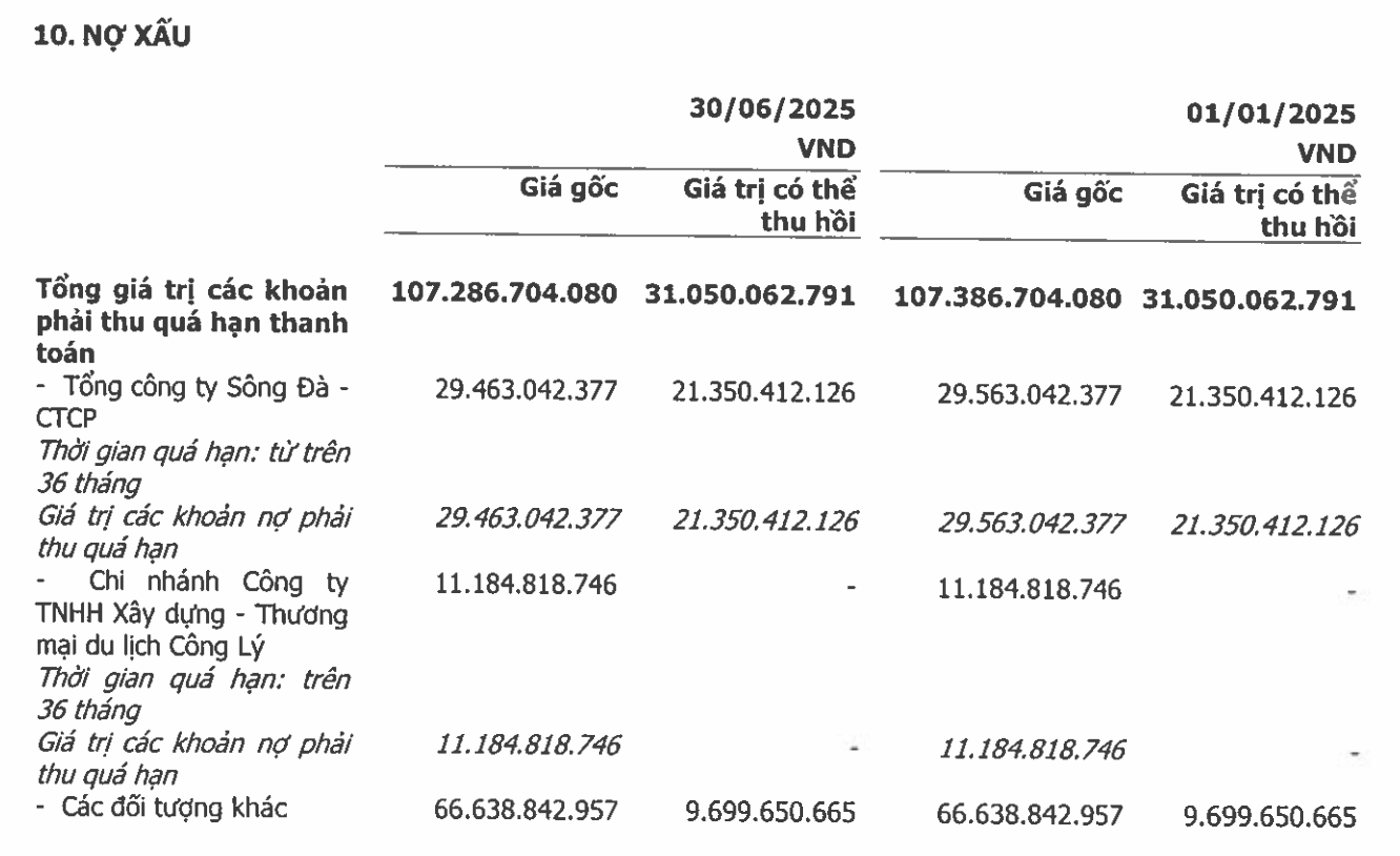 Danh sách nợ xấu của Sông Đà 11 tới ngày 30/6/2025. Nguồn: BCTC