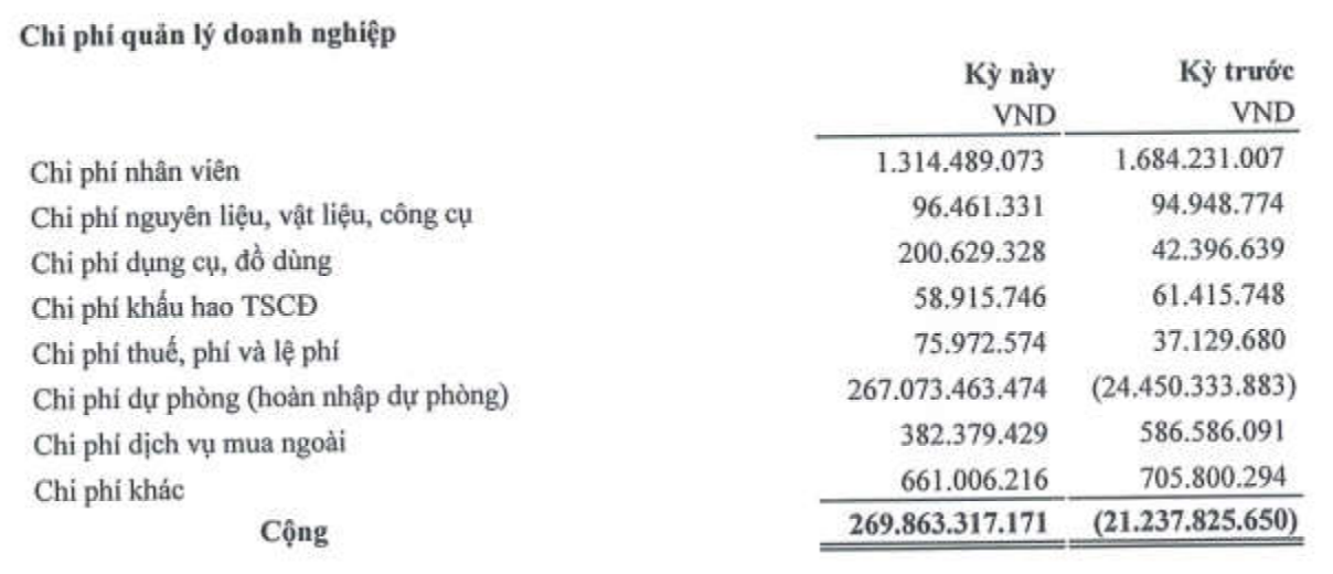Bitagco tăng trích lập dự phòng nửa đầu năm 2025. Nguồn: BCTC