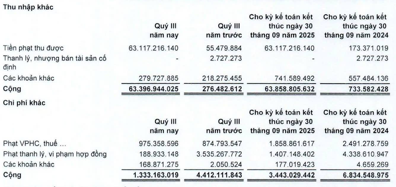 Đầu tư LDG ghi nhận lợi nhuận khác đột biến trong quý III nhờ tiền phạt thu được. Nguồn: BCTC