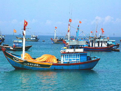 Đã có 21/28 tỉnh, thành phố ven biển triển khai bảo hiểm cho tàu khai thác hải sản (Ảnh minh hoạ)