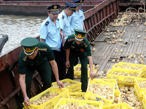 Hải quan Quảng Ninh bắt giữ một tàu buôn lậu hàng nông sản