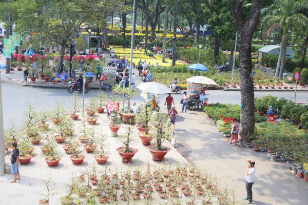 Chợ hoa rực sắc màu tại công viên Gia Định quận Gò Vấp.