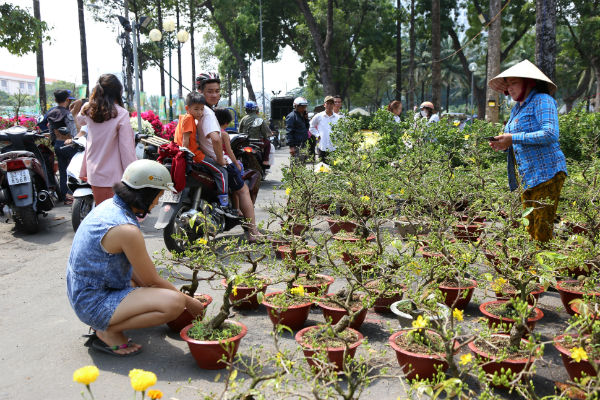 Người Sài Gòn cho rằng khi đón năm mới, trong nhà phải có những cây hoa cảnh thì may mắn và vượng khí mới tới với gia chủ.