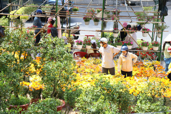 Người dân chỉ việc chọn mua hoa, việc vận chuyển năm nay chủ cửa hàng hoa đảm nhiệm mang hoa tận nhà cho khách hàng. Đây được cho là nét mới để hút khách hàng của các chủ của hàng hoa tại Sài Gòn.