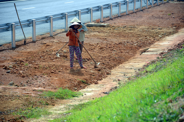 Tạo nền trồng cây xanh, tạo cảnh quan cho tuyến cao tốc Đà Nẵng-Quảng Ngãi