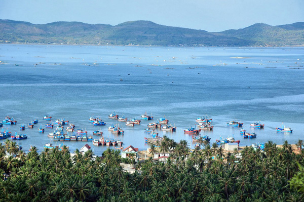 Phú Yên đang tìm giải pháp tối ưu phát triển hài hòa giữa nuôi trồng thủy sản và phát triển du lịch tại vịnh Xuân Đài nên giải pháp môi trường đang được tập trung xử lý