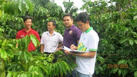 Đại diện PVFCCo, Nestlé, Yara và chủ vườn tham gia vườn cà phê mẫu